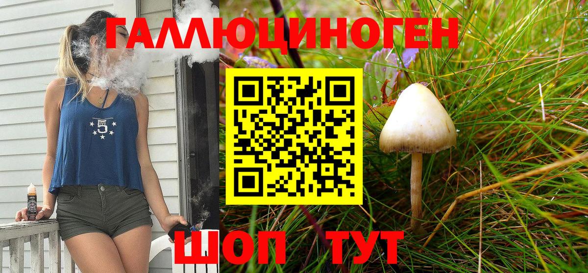 Галлюциногенные грибы Psilocybe  Вход с VPN  Усть-Илимск 