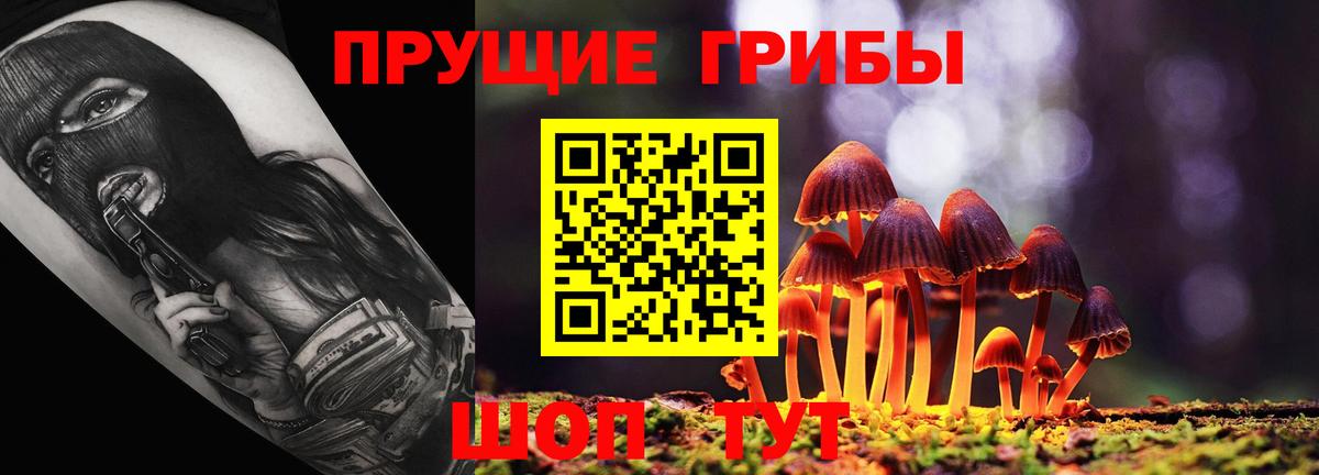 Псилоцибиновые грибы Psilocybine cubensis Усть-Илимск