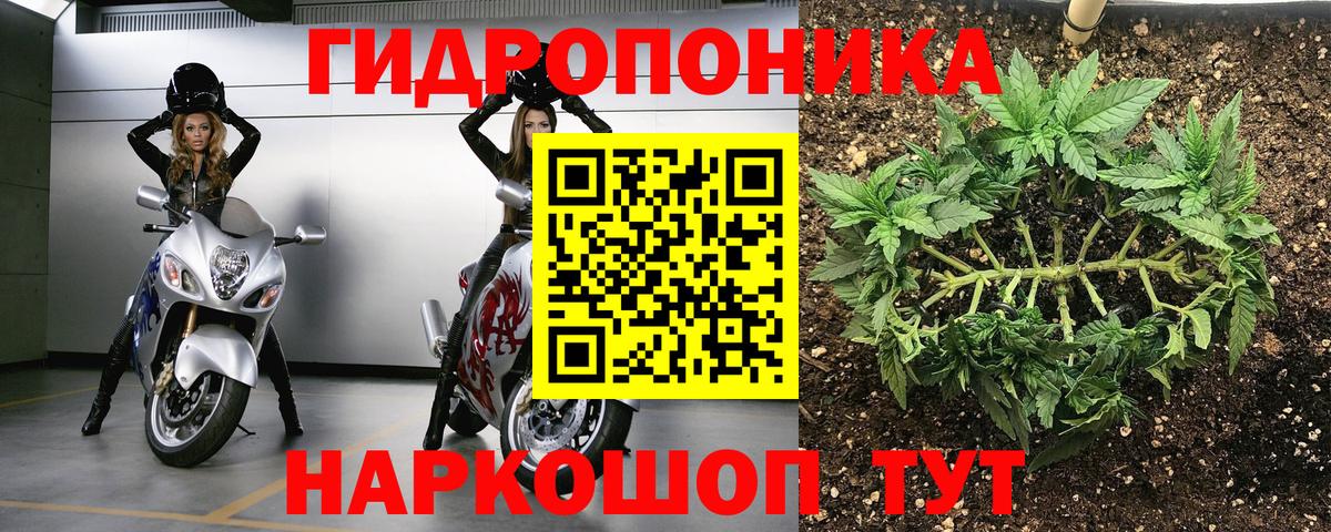 Каннабис White Widow Усть-Илимск